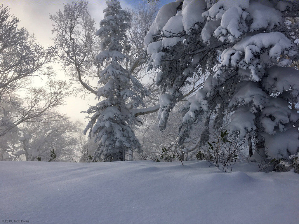 SnowScapes - Furano 2018