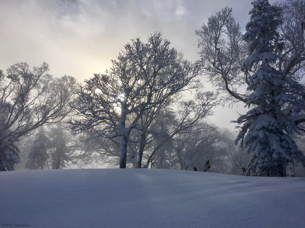 SnowScapes - Furano 2018