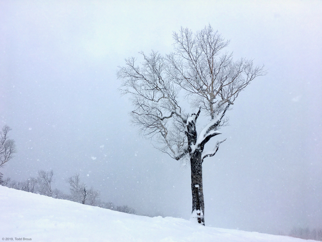 SnowScapes - Furano 2018