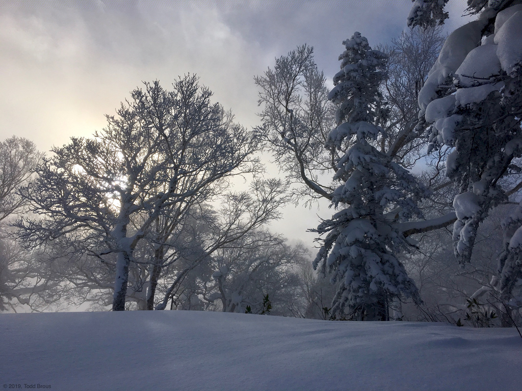 SnowScapes - Furano 2018