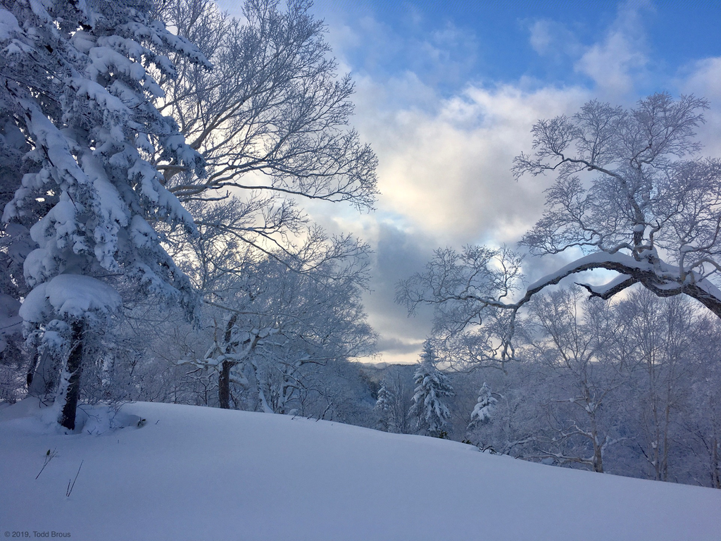 SnowScapes - Furano 2018