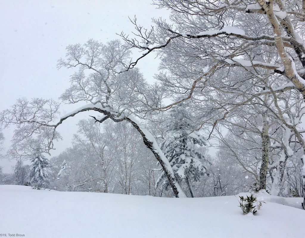 SnowScapes - Furano 2018