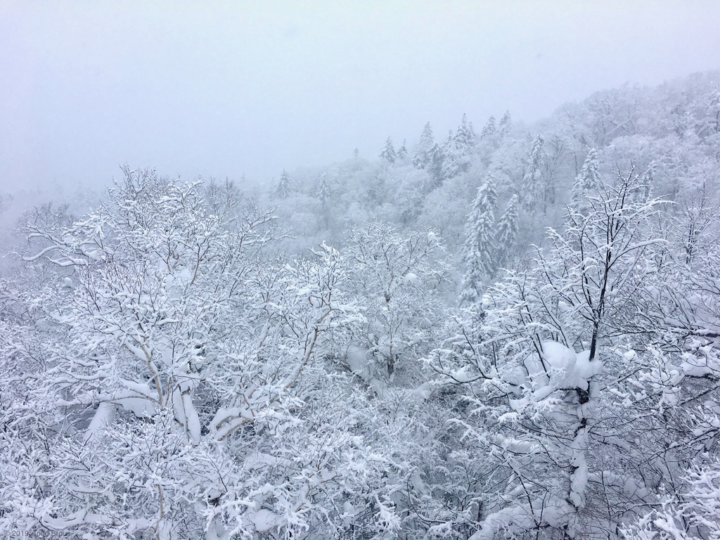 SnowScapes - Furano 2018