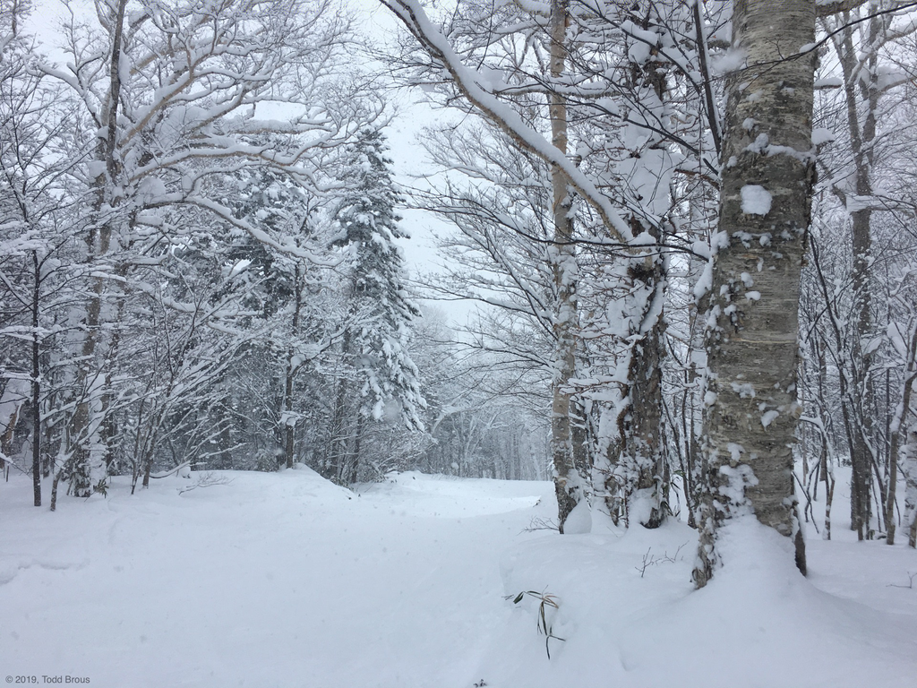 SnowScapes - Furano 2018