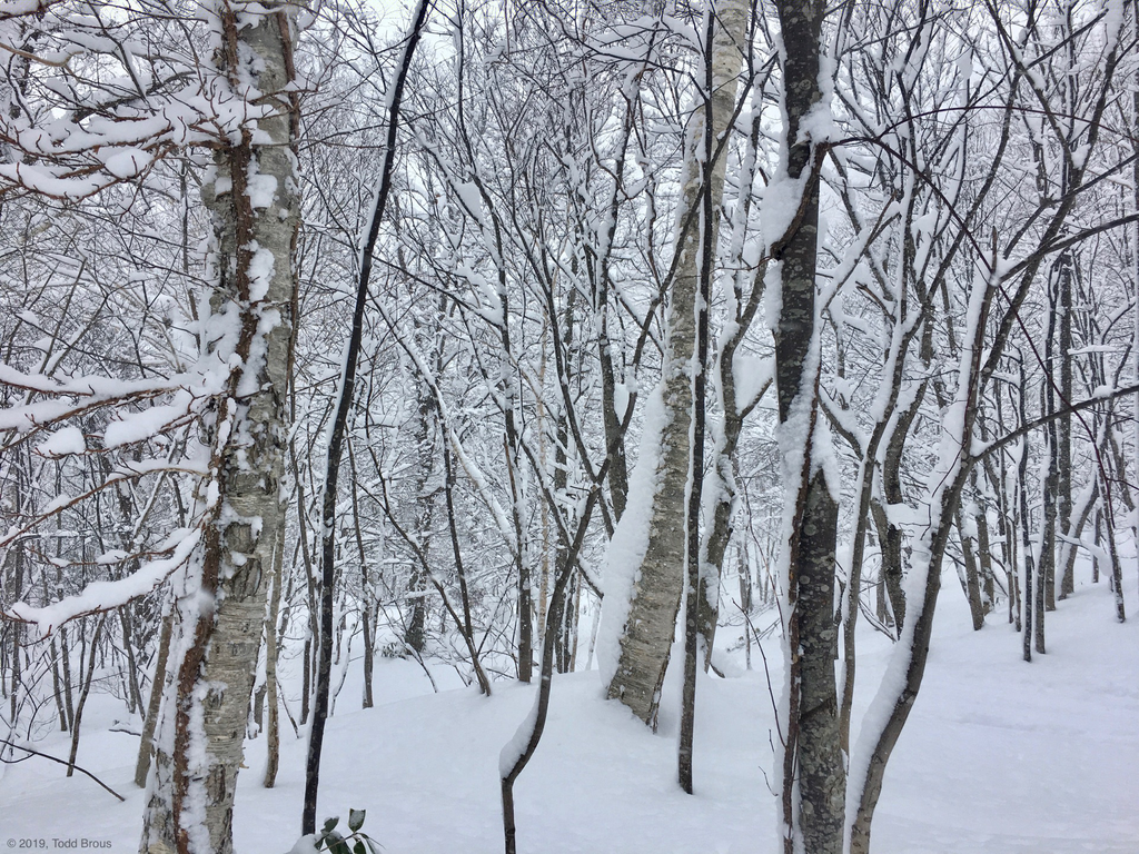 SnowScapes - Furano 2018
