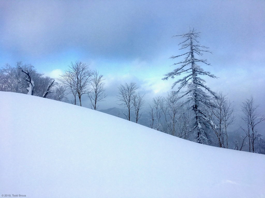 SnowScapes - Furano 2018