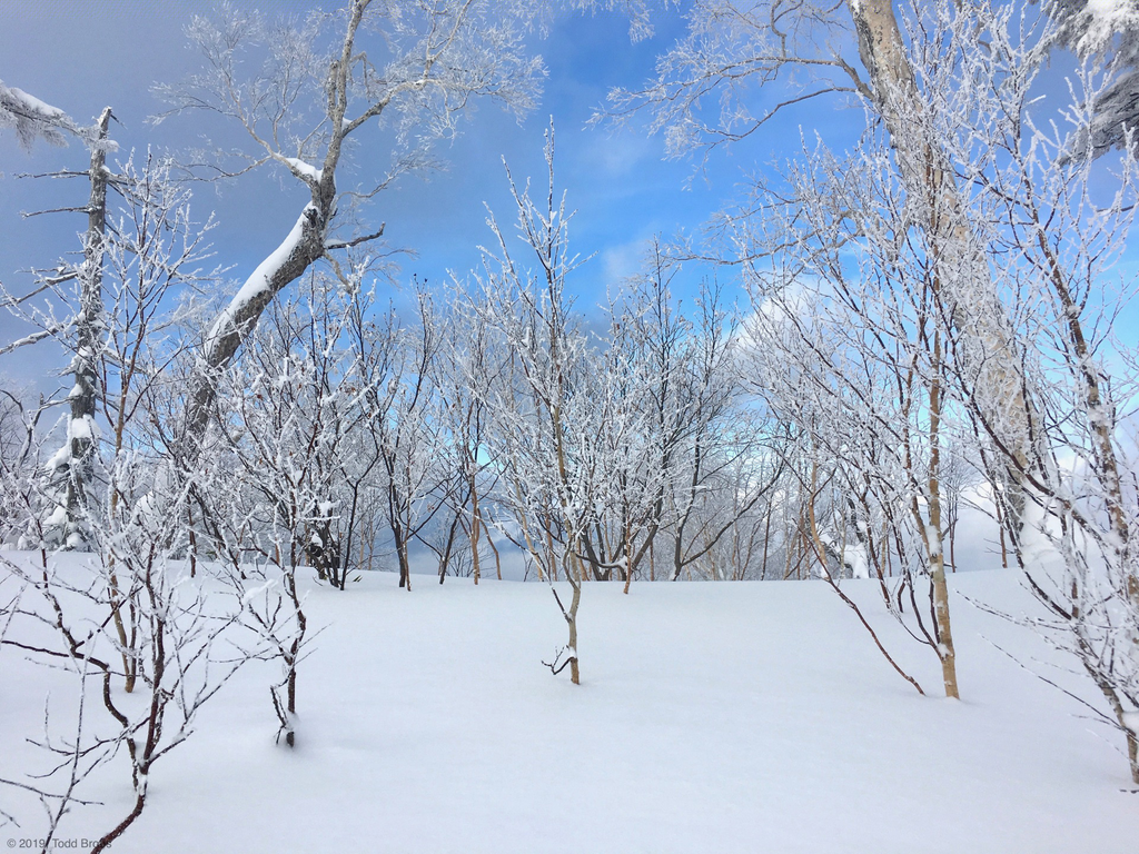 SnowScapes - Furano 2018