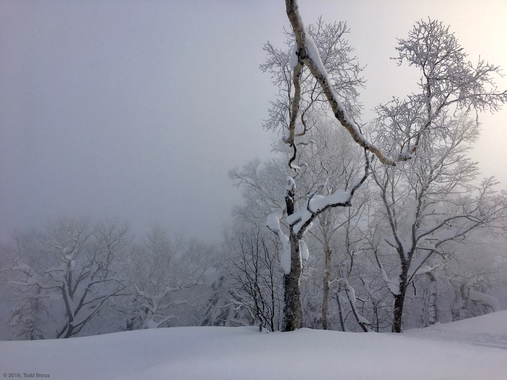SnowScapes - Furano 2018