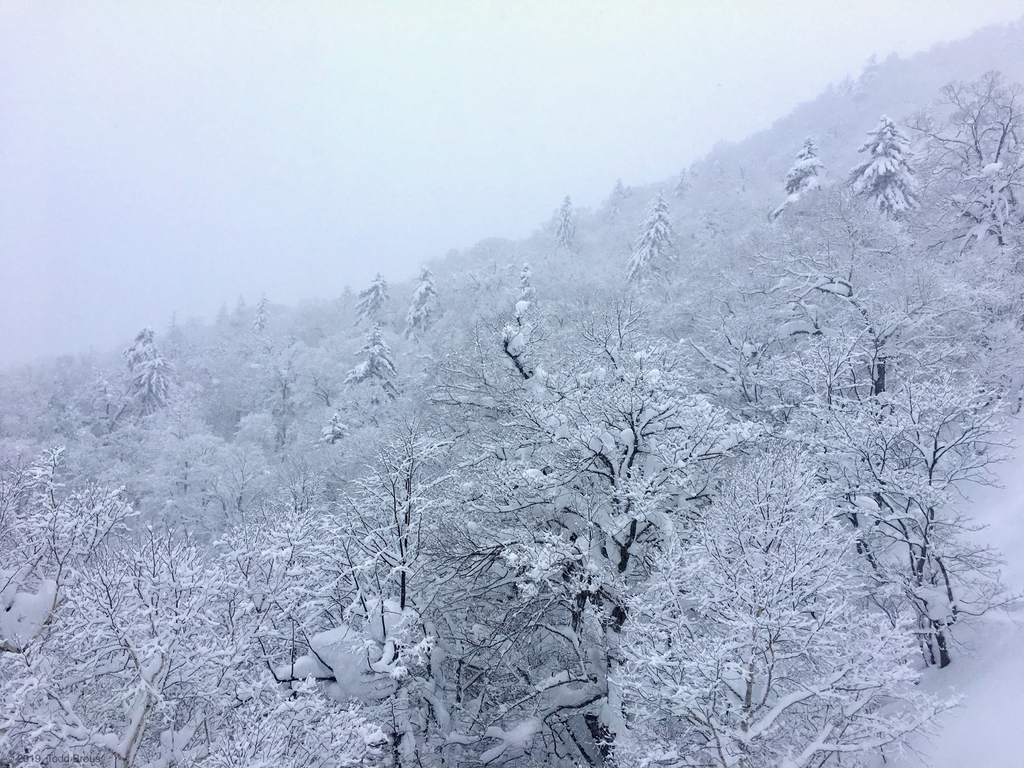SnowScapes - Furano 2018