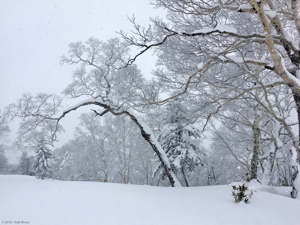SnowScapes - Furano 2018