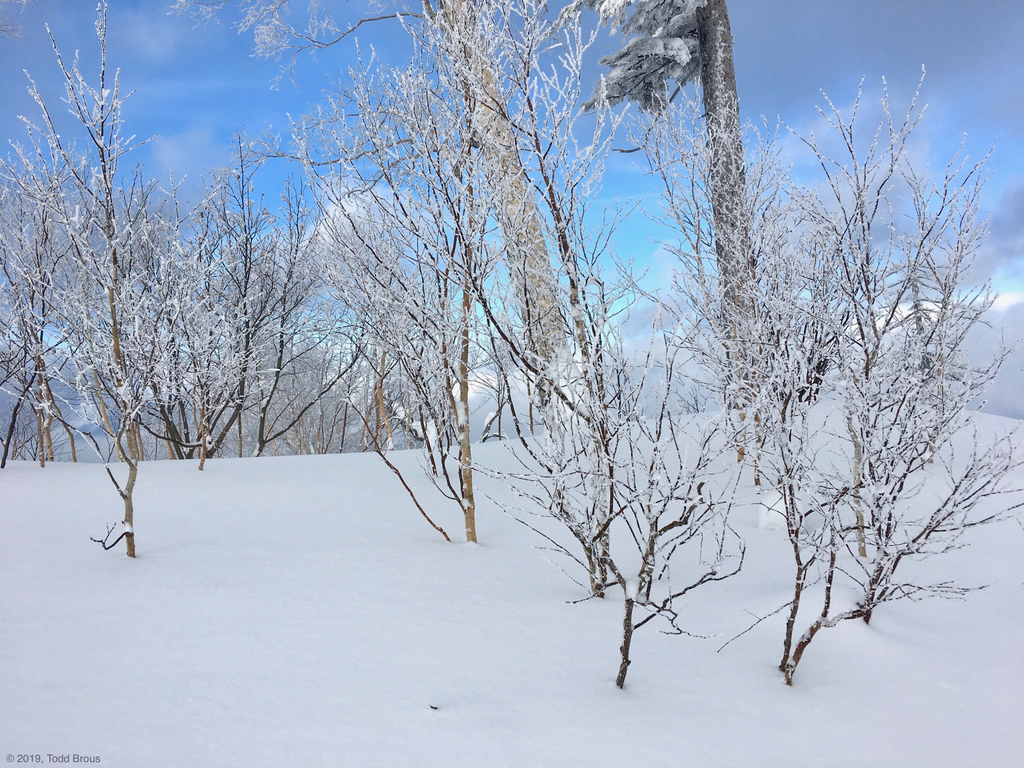 SnowScapes - Furano 2018