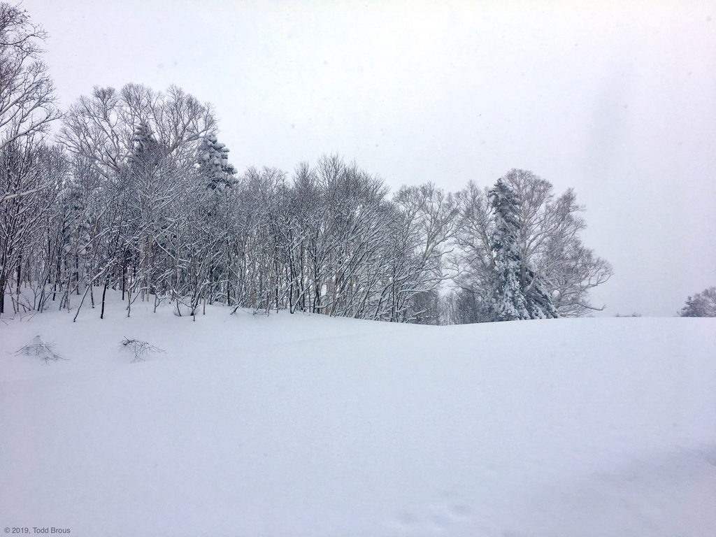 SnowScapes - Furano 2018