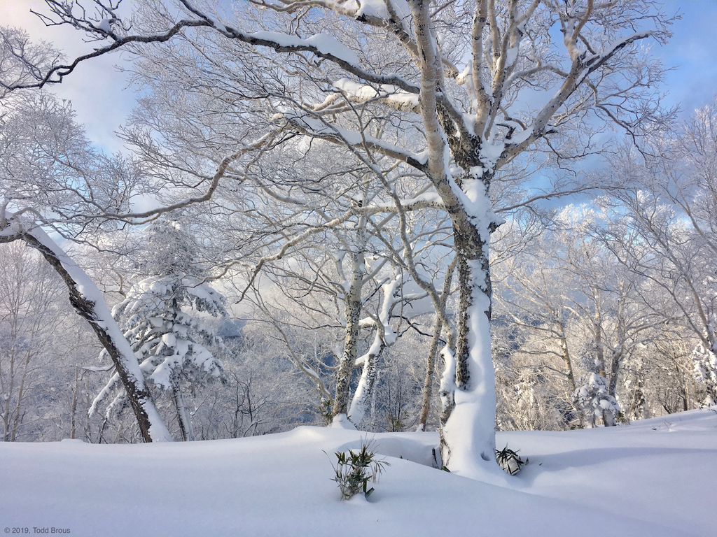 SnowScapes - Furano 2018