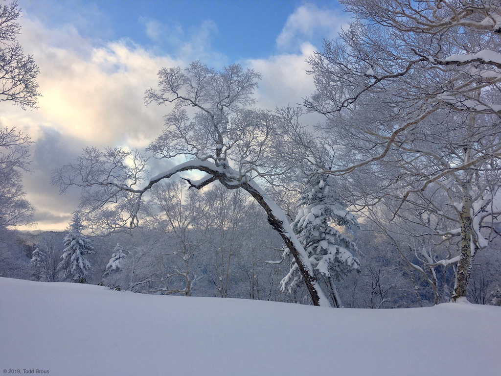 SnowScapes - Furano 2018