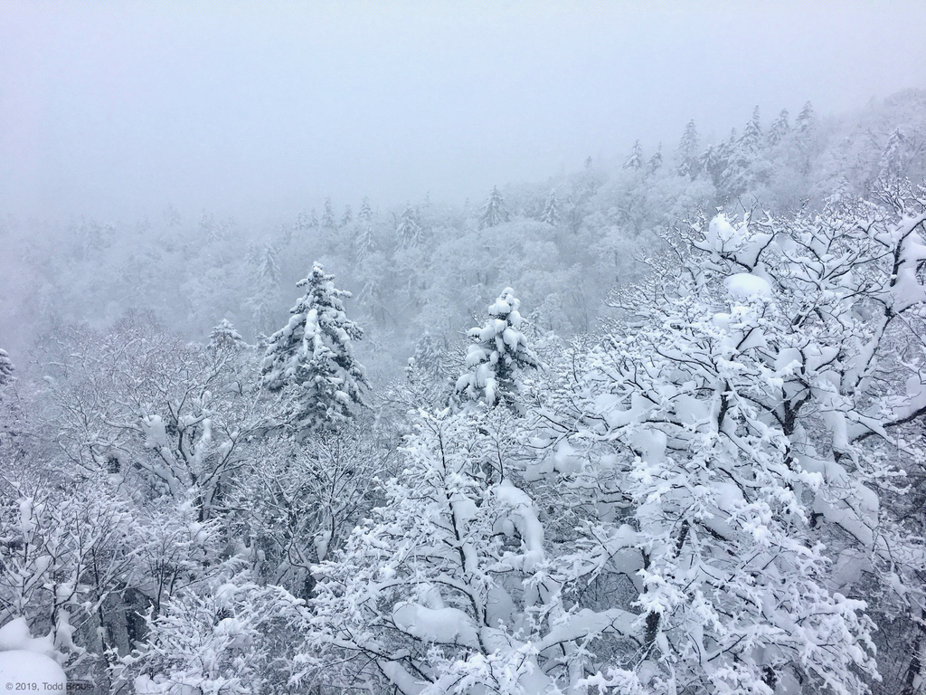 SnowScapes - Furano 2018